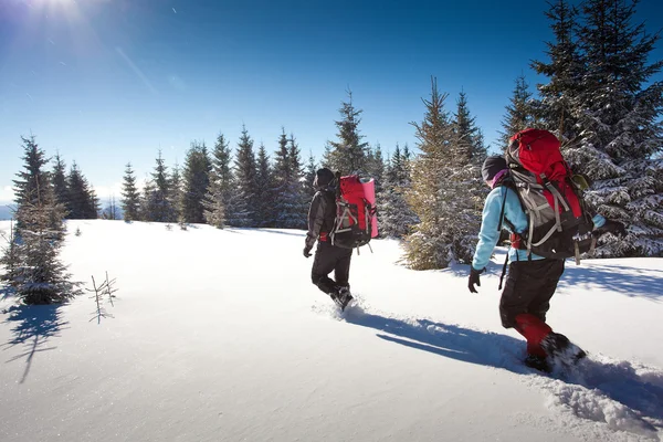 Escursionista in montagna invernale — Foto Stock