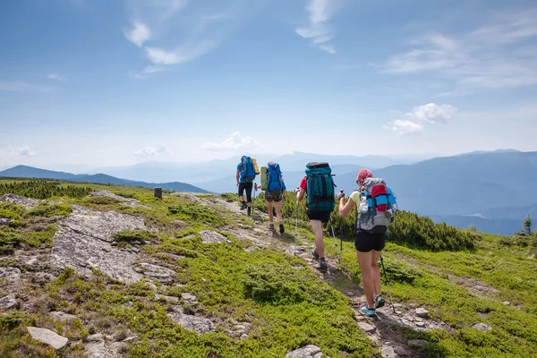 Os jovens estão caminhando nas montanhas dos Cárpatos no verão — Fotografia de Stock