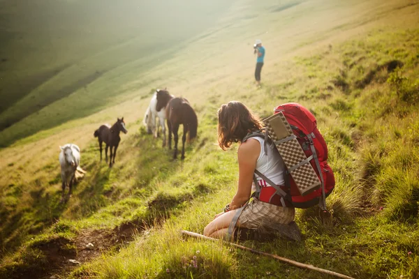 Uzun yürüyüşe çıkan kimse dağlarda waching atlar olduğunu — Stok fotoğraf