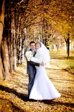 gelin damat