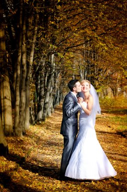gelin damat