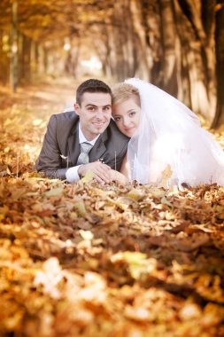gelin damat