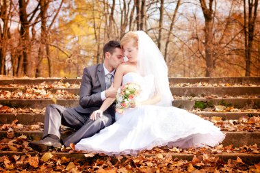 gelin damat