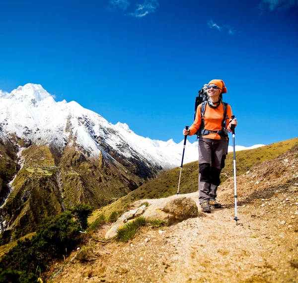 Himalaya dağlarında yürüyüş — Stok fotoğraf