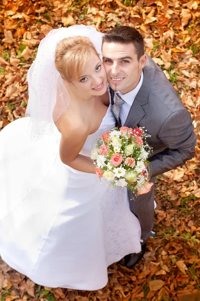 Bride and groom — Stock Photo, Image