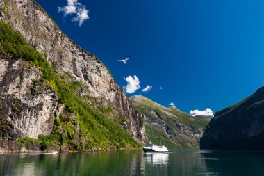 Geiranger fiyort Norveç'te boyunca seyahat 