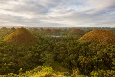 çikolata hills görünümü. Bohol, Filipinler