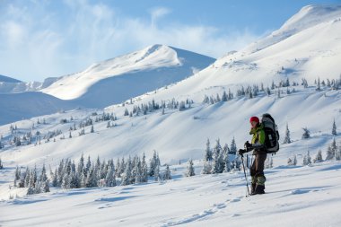 Kış Karpat dağlarında yürüyüş uzun yürüyüşe çıkan kimse