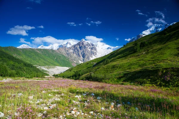 Güzel vadide üst svaneti, Gürcistan Kafkasya dağlarında — Stok fotoğraf