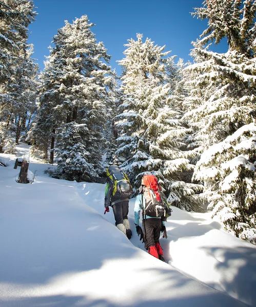 Caminhante em montanhas de inverno — Fotografia de Stock