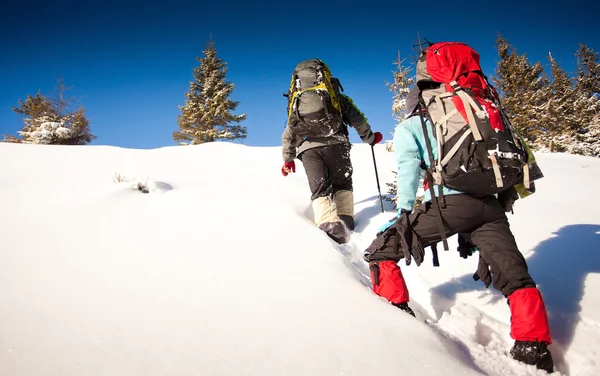 Escursionista in montagna invernale — Foto Stock