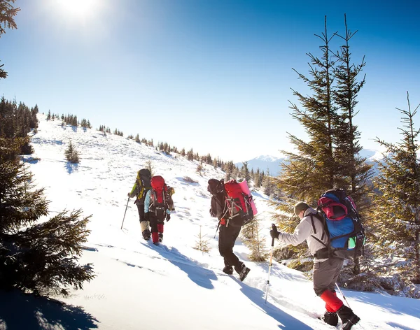 Caminhante em montanhas de inverno — Fotografia de Stock