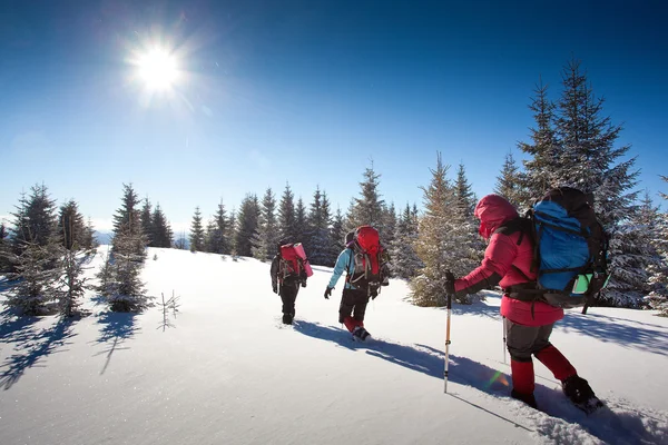 Excursionista en las montañas de invierno — Foto de Stock