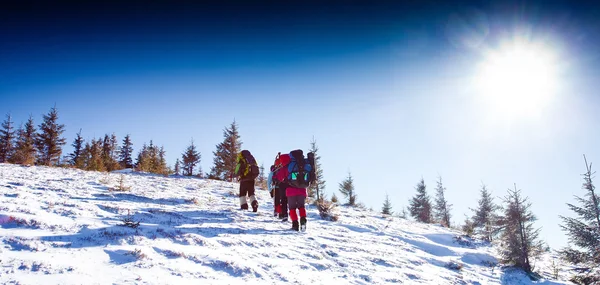 Excursionista en las montañas de invierno — Foto de Stock