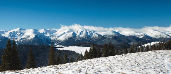 Paisaje invernal escénico en las montañas Cárpatas — Foto de Stock