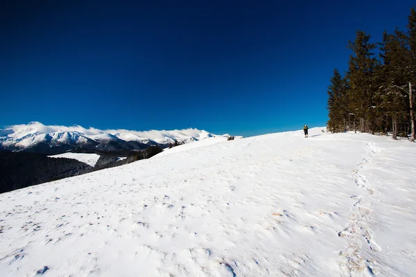 Excursionista en las montañas de invierno — Foto de Stock