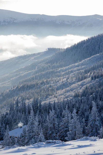 Malebnou Zimní krajina v Karpatských horách — Stock fotografie