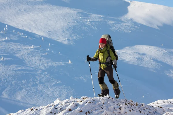 Escursioni a piedi in inverno Montagne dei Carpazi — Foto Stock