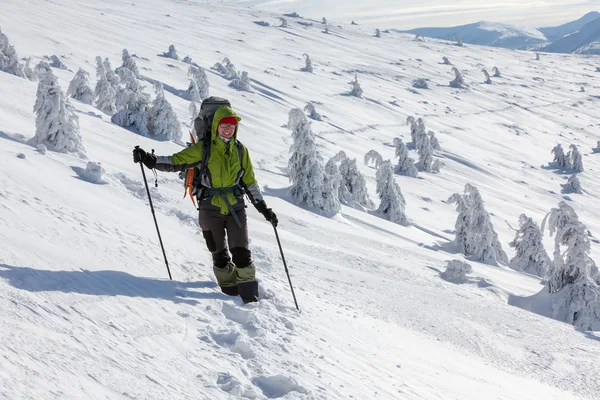 Wandern in den winterlichen Karpaten — Stockfoto