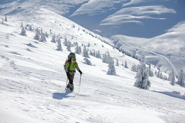 Wandelaar wandelen in de winter Karpaten — Stockfoto