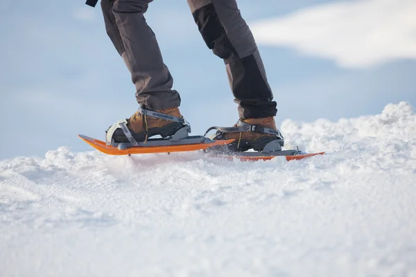 Vrouw Sneeuwschoenwandelen in winter Karpaten — Stockfoto