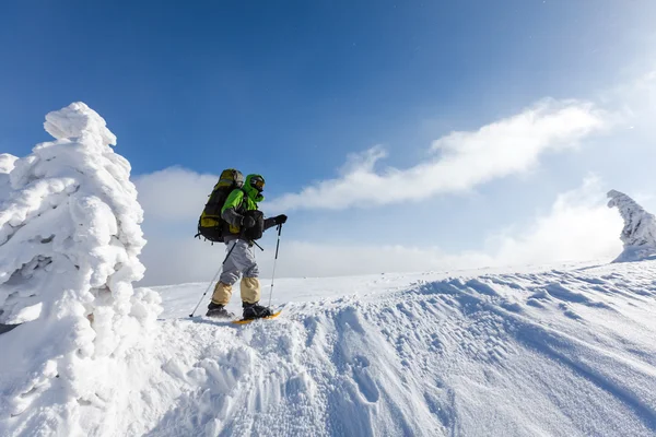 Caminhante caminhando no inverno montanhas dos Cárpatos — Fotografia de Stock