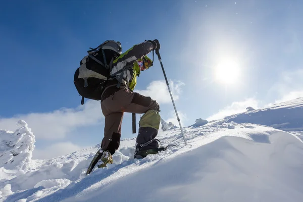 Hiker promenader i vinter Karpaterna — Stockfoto