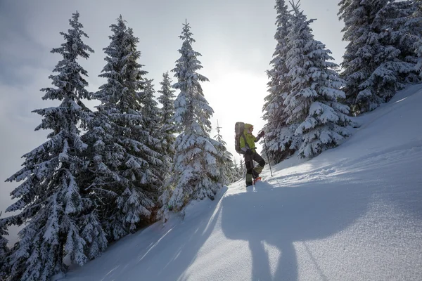 Kış Karpat dağlarında yürüyüş uzun yürüyüşe çıkan kimse — Stok fotoğraf