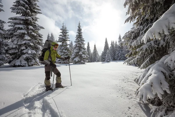 Wandelaar wandelen in de winter Karpaten — Stockfoto