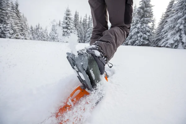 Mulher snowshoeing no inverno montanhas dos Cárpatos — Fotografia de Stock