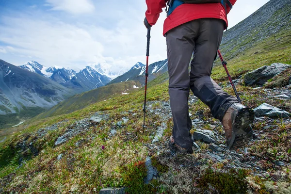 Fotvandrare nära Belukha Mountain, de högsta i Sibirien — Stockfoto