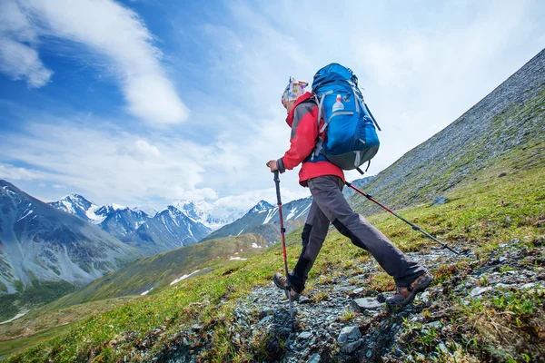 附近的 Belukha 山，最高在西伯利亚的徒步旅行者 — 图库照片