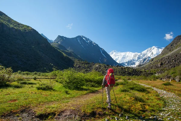 Wanderer in der Nähe des Belucha-Gebirges, dem höchsten in Sibirien — Stockfoto