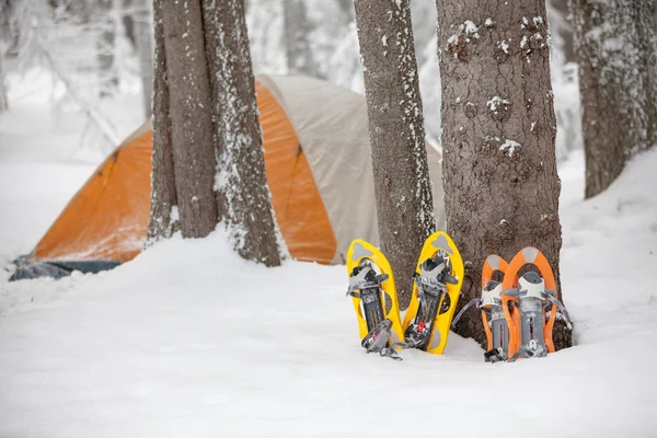 Camping during winter hiking in Carpathian mountains — Stock Photo, Image