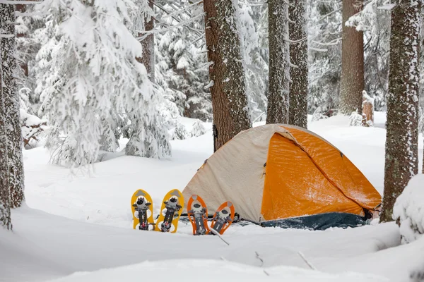 Camping durante las caminatas de invierno en las montañas de los Cárpatos — Foto de Stock