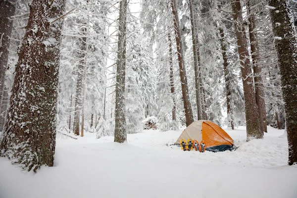Camping durante las caminatas de invierno en las montañas de los Cárpatos — Foto de Stock