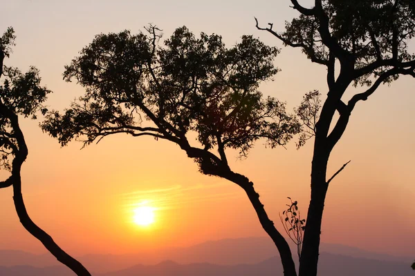 Matahari terbenam yang indah di pegunungan — Stok Foto