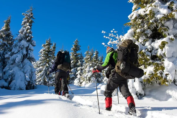 Vandrare på vintern i bergen — Stockfoto