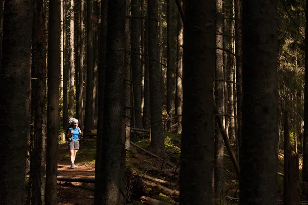 Vrouw is wandelen in wild bos onder enorme bomen — Stockfoto