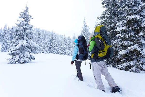 Senderista en el bosque de invierno — Foto de Stock