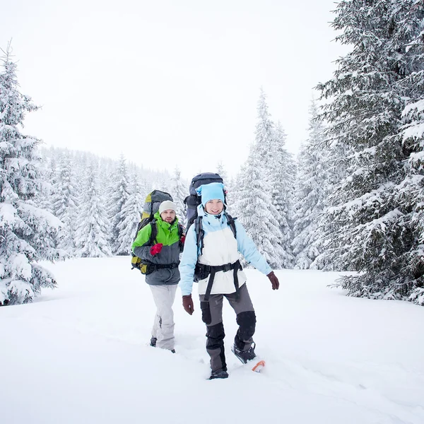 Wanderer im Winterwald — Stockfoto