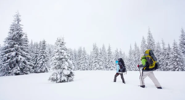 Senderista en el bosque de invierno —  Fotos de Stock