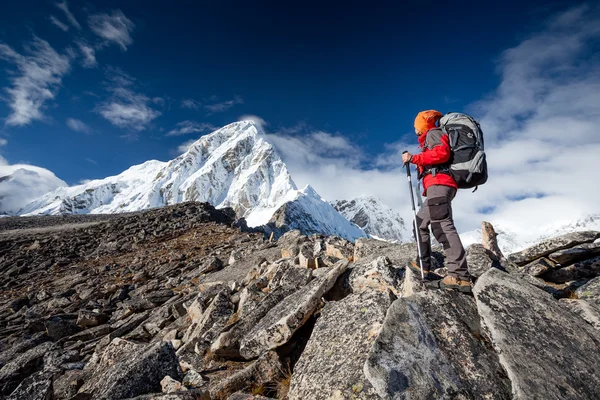 Senderista en la caminata en Himalaya, valle de Khumbu, Nepal —  Fotos de Stock