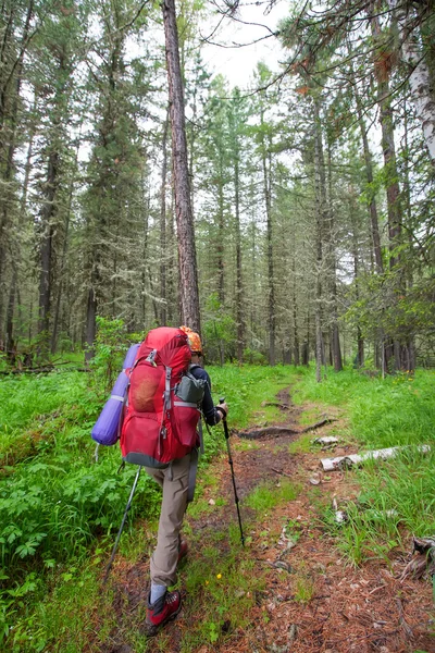 Hiker di pegunungan Altai — Stok Foto