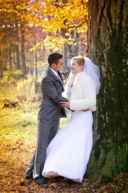 gelin damat 