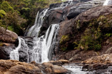 Vahşi şelale Horton Plains Milli Parkı, Sri Lanka