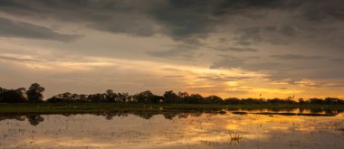 Sri Lanka gölde dramatik günbatımı