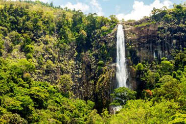 Bambarakanda Ella, Sri Lanka en yüksek Şelalesi