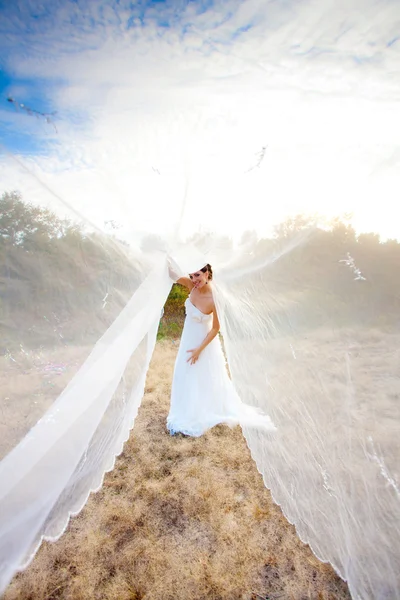 Bella sposa il giorno del suo matrimonio — Foto Stock