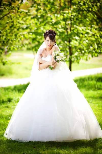 Bella sposa il giorno del matrimonio dell'erede — Foto Stock